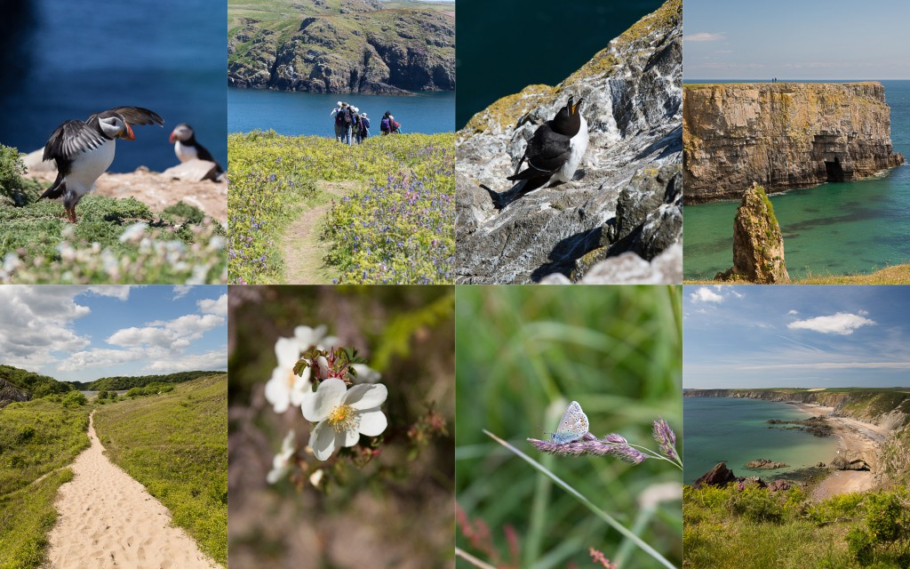 Pembrokeshire-001